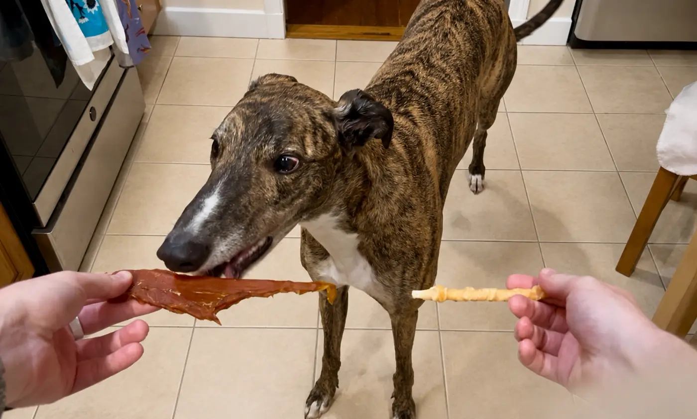 Finding the Best Dog Treat with Statistics